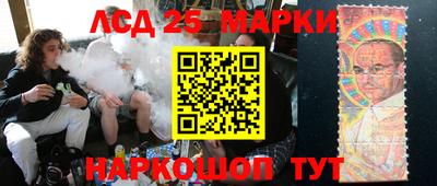 mdpv Гатчина