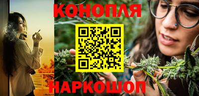 шишки Волжский