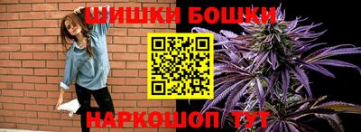 mdpv Гатчина