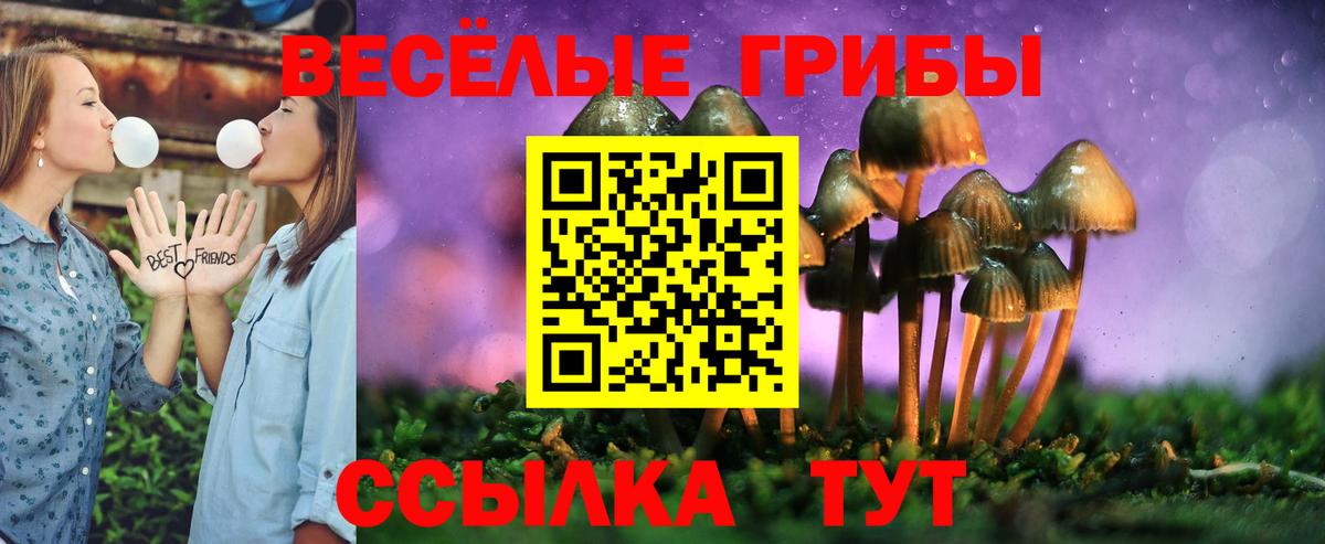 Псилоцибиновые грибы Psilocybine cubensis Нижний Тагил