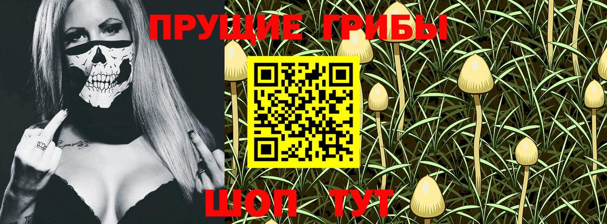 Галлюциногенные грибы MAGIC MUSHROOMS  Вход с VPN  Нижний Тагил 
